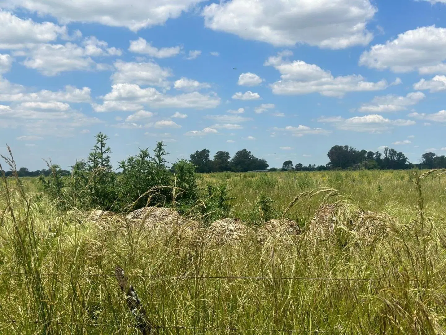 CAMPO EN VENTA ETCHEGOYEN LUJAN EXALTACION DE LA CRUZ 3