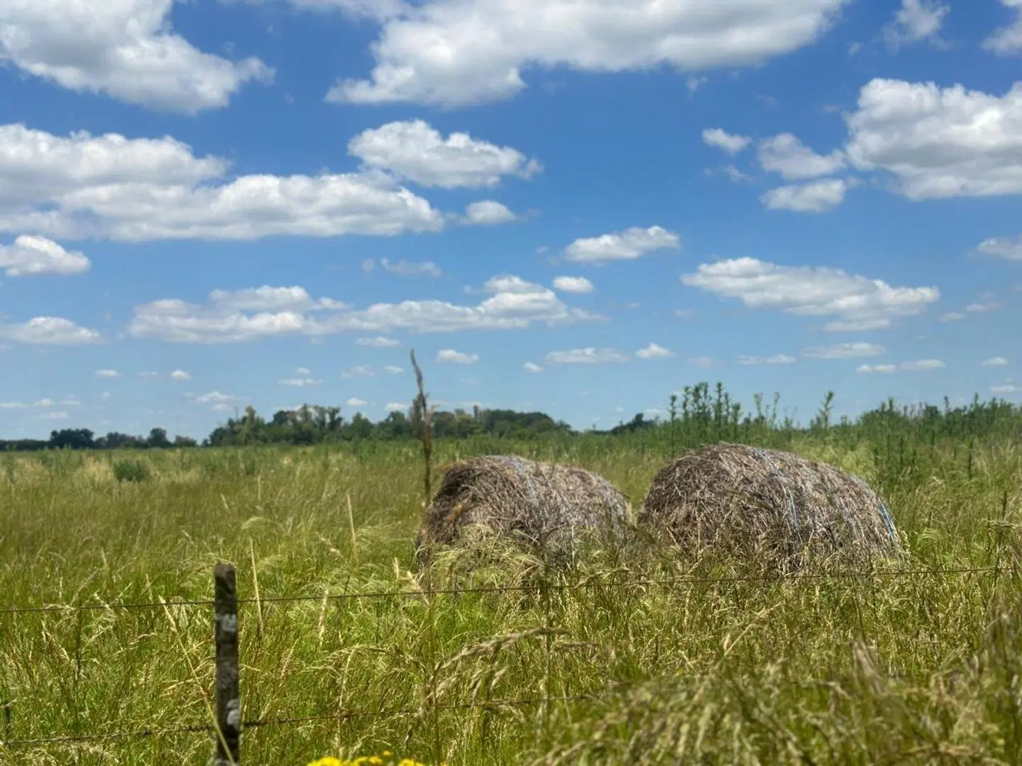 CAMPO EN VENTA ETCHEGOYEN LUJAN EXALTACION DE LA CRUZ 4