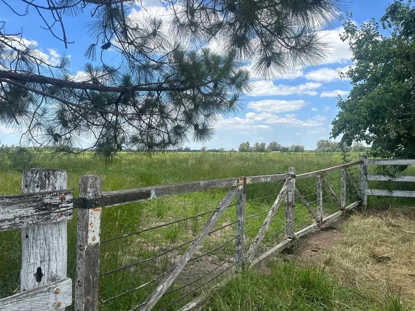 CAMPO EN VENTA ETCHEGOYEN LUJAN EXALTACION DE LA CRUZ 2