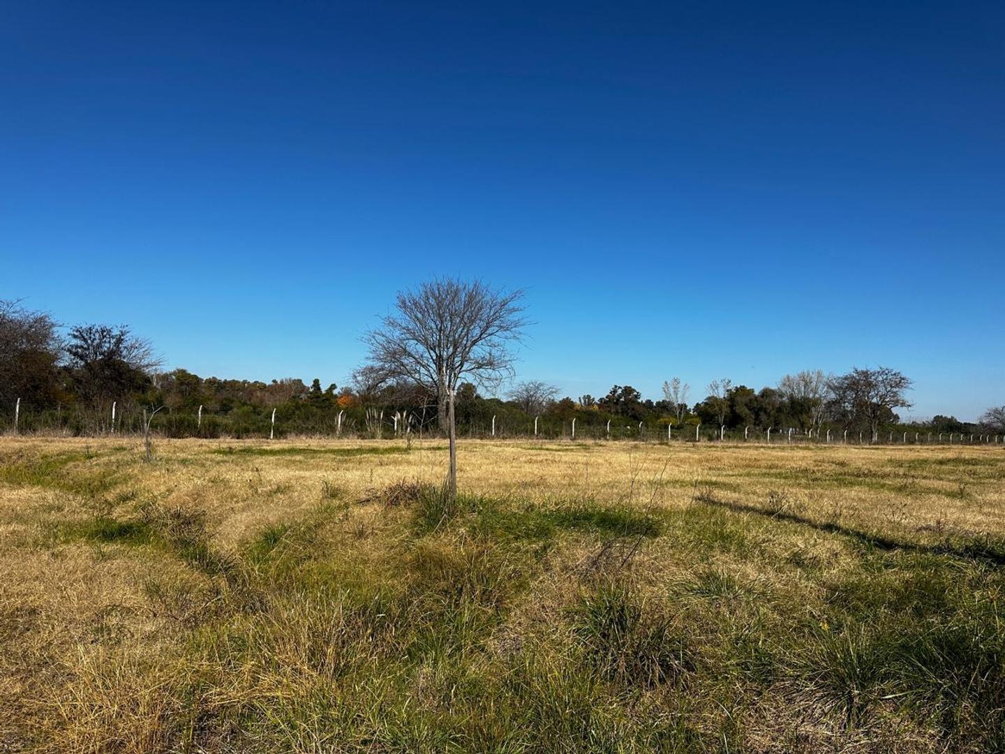 LOTE EN VENTA CON ESCRITURA FINANCIADO LOS PINOS LAS ACACIAS