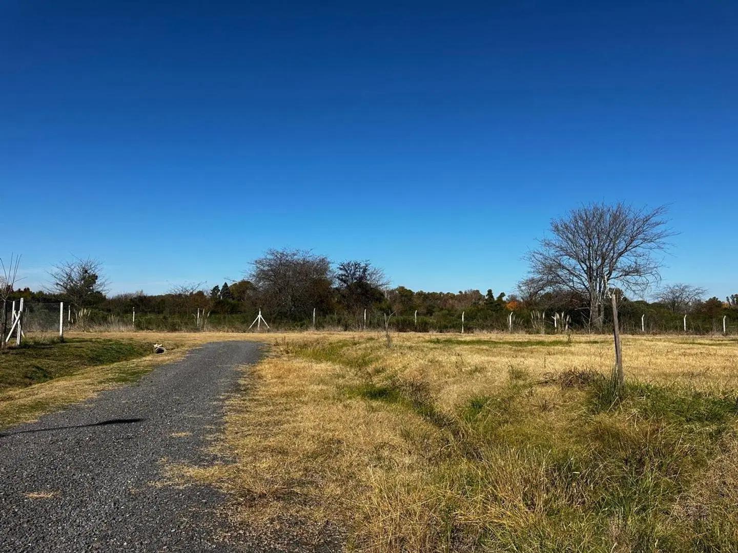 LOTE EN VENTA CON ESCRITURA FINANCIADO LOS PINOS LAS ACACIAS 3