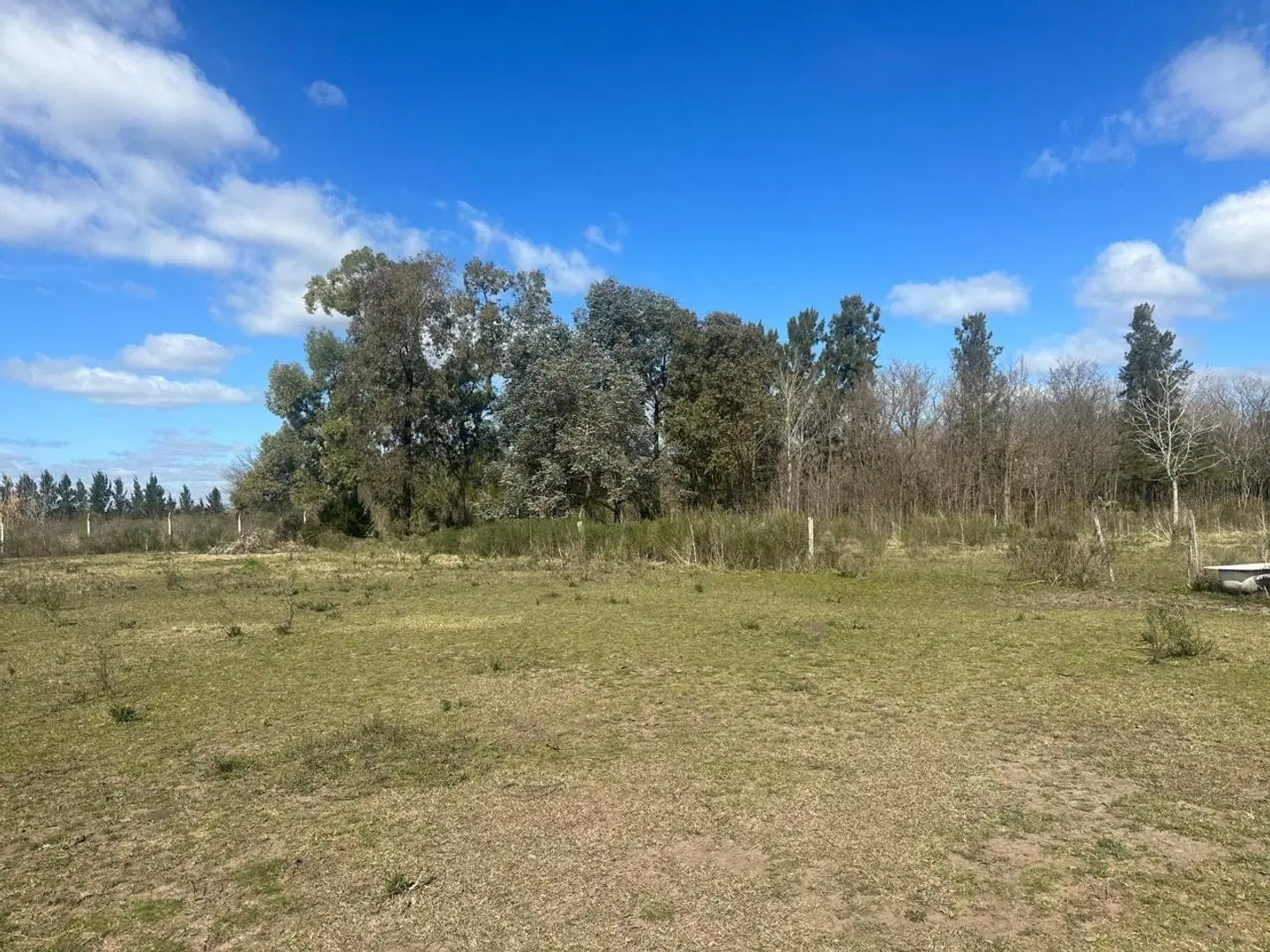 CAMPO 5 HECTAREAS CON CASA 5 AMB FACIL ACCESO A RUTA PAVON 3