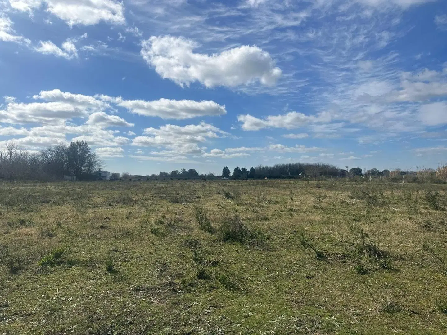 CAMPO 5 HECTAREAS CON CASA 5 AMB FACIL ACCESO A RUTA PAVON 5
