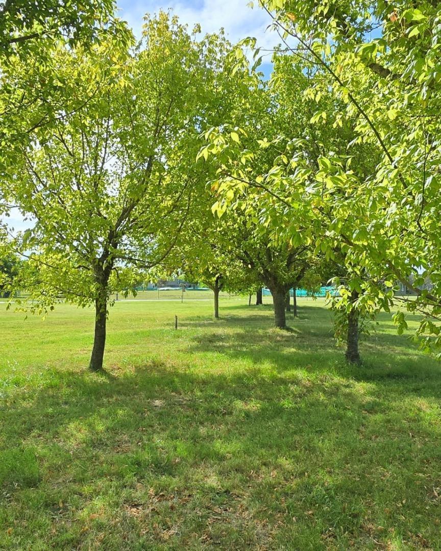 Foto de TERRENO VENTA EN MIRABOSQUES CARDALES KM 185 DE LA RUTA 6, imagen 1