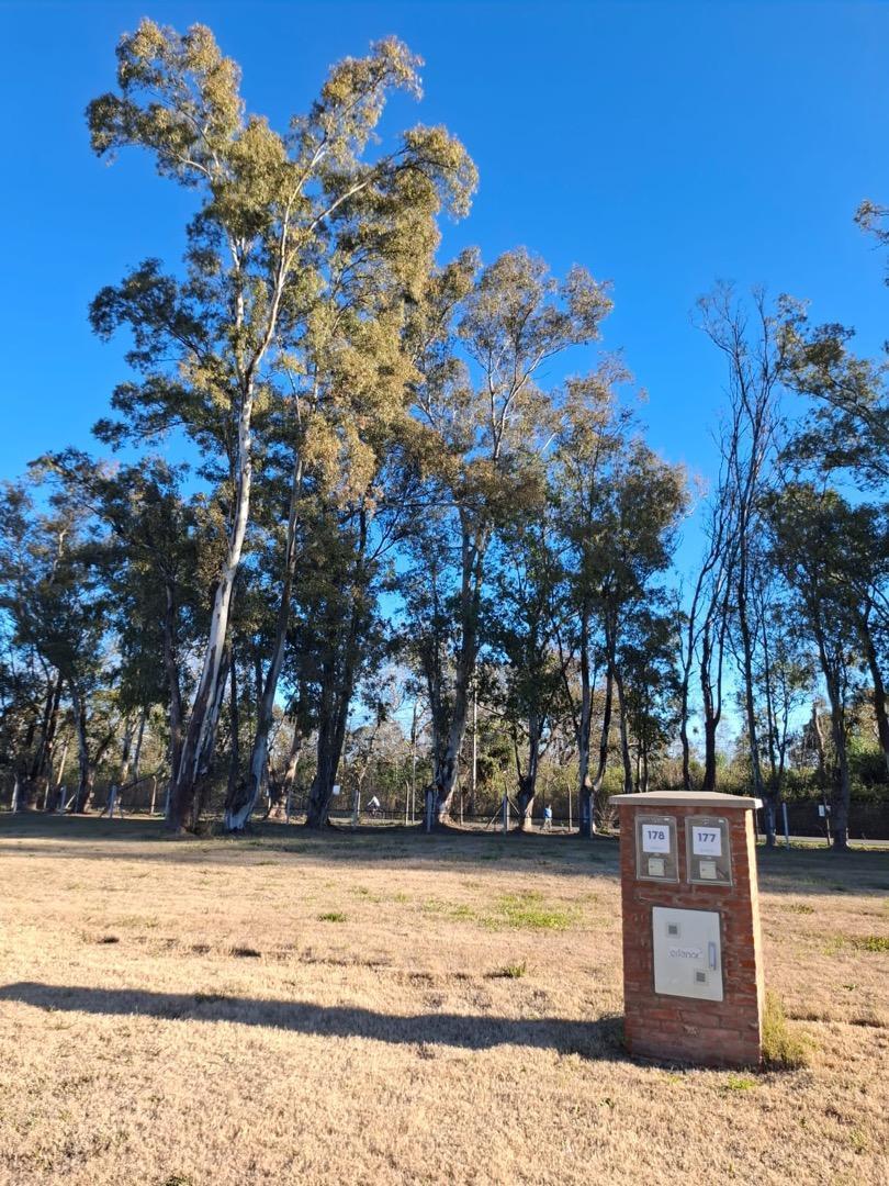 Foto de TERRENO EN BARRIO PRIVADO "SANTA SOFIA", PILAR DEL ESTE, imagen 1
