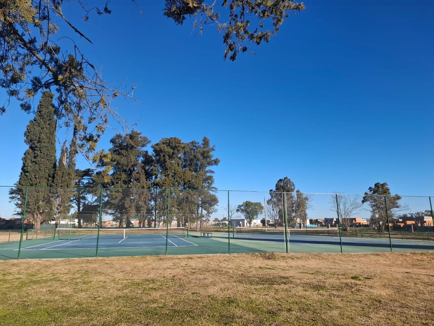 Foto de Terreno en Santa Sofia, Pilar del Este, imagen 5