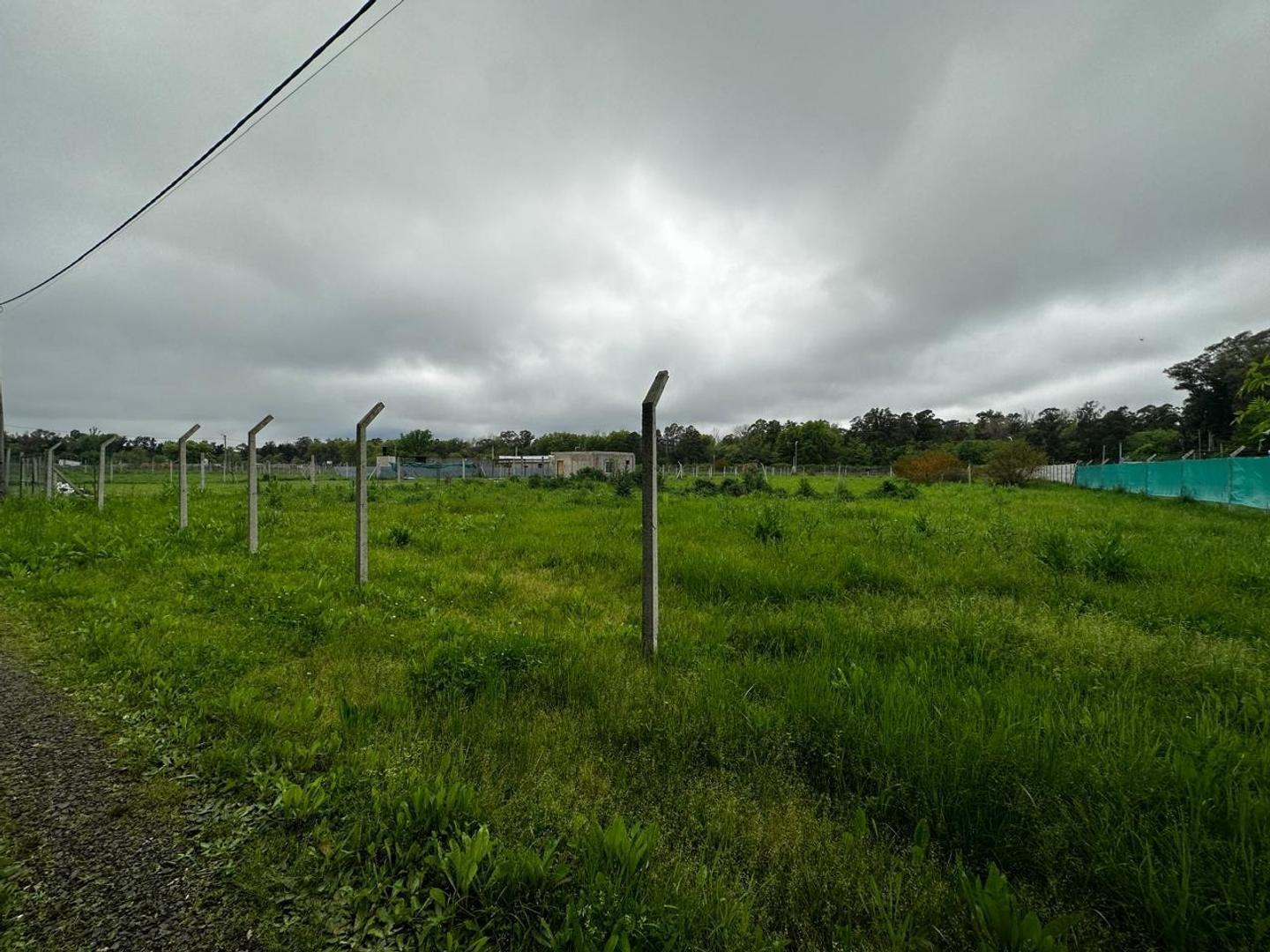 Foto de TERRENO EN VENTA MORENO ZONA DE QUINTAS, imagen 2