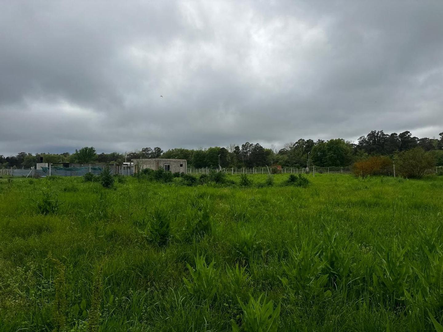 Foto de TERRENO EN VENTA MORENO ZONA DE QUINTAS, imagen 5