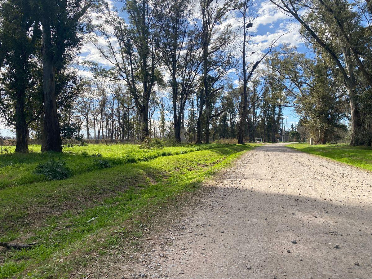 Foto de Lote de 2.800 Mts2 en Venta Barrio Altos de Mercedes, Mercedes Bs As, imagen 1