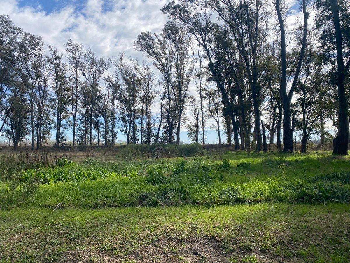 Foto de Lote de 2.800 Mts2 en Venta Barrio Altos de Mercedes, Mercedes Bs As, imagen 4