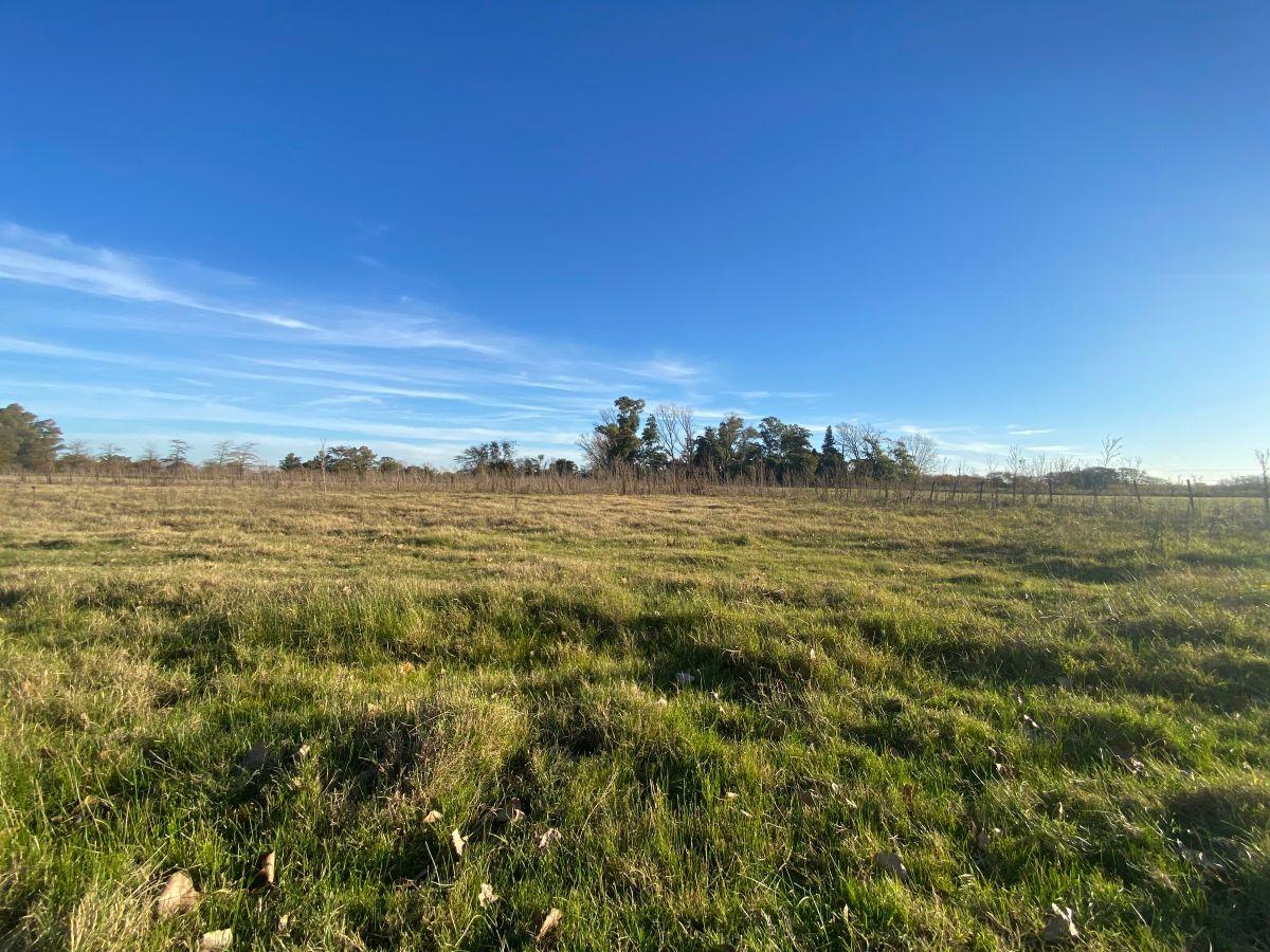 Foto de Loteo Chacra de 1 Hectárea en Venta Pueblito de San Jacinto Mercedes Bs, imagen 2