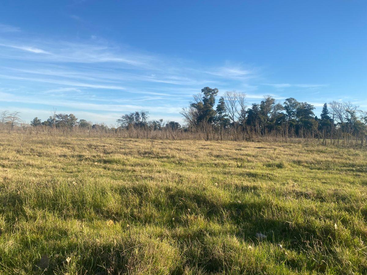 Foto de Loteo Chacra de 1 Hectárea en Venta Pueblito de San Jacinto Mercedes Bs, imagen 4