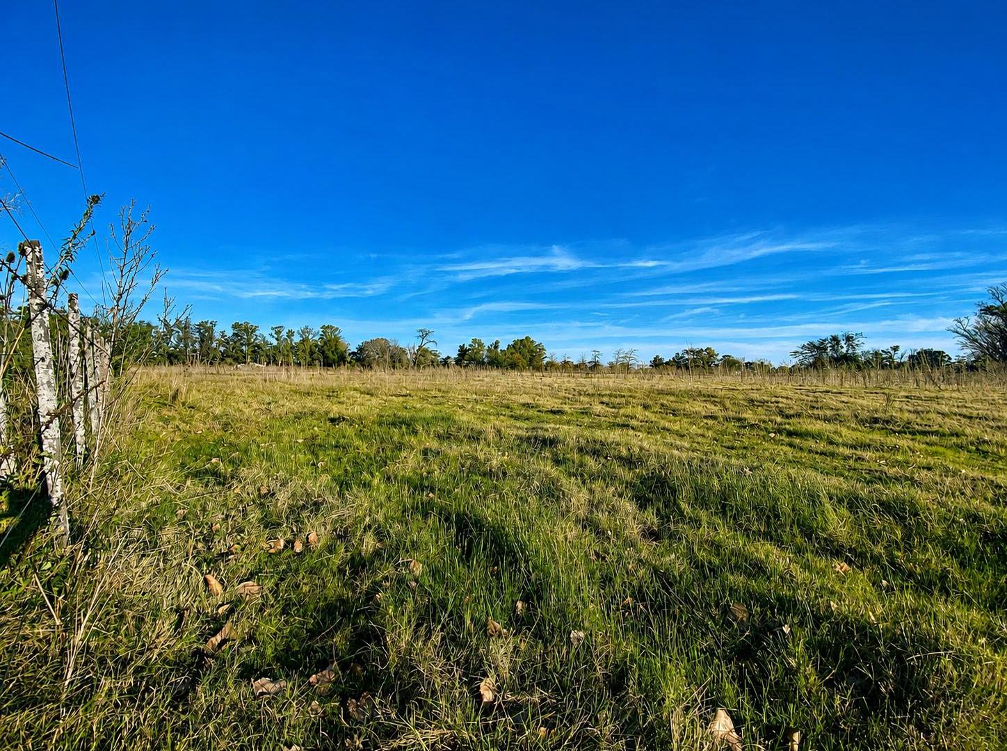 Foto de Loteo Chacra de 1 Hectárea en Venta Pueblito de San Jacinto Mercedes Bs, imagen 5