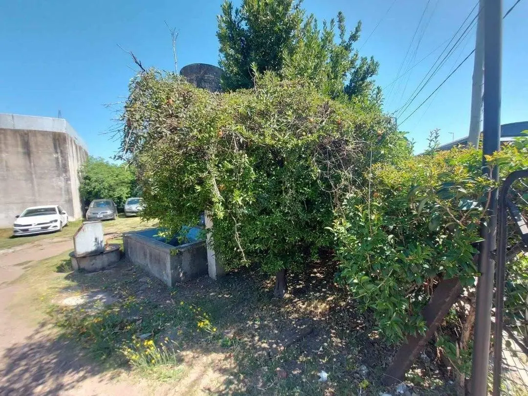 LOCALES, LOTE EN ESQUINA DE 1180 MTS² EN MORON 5