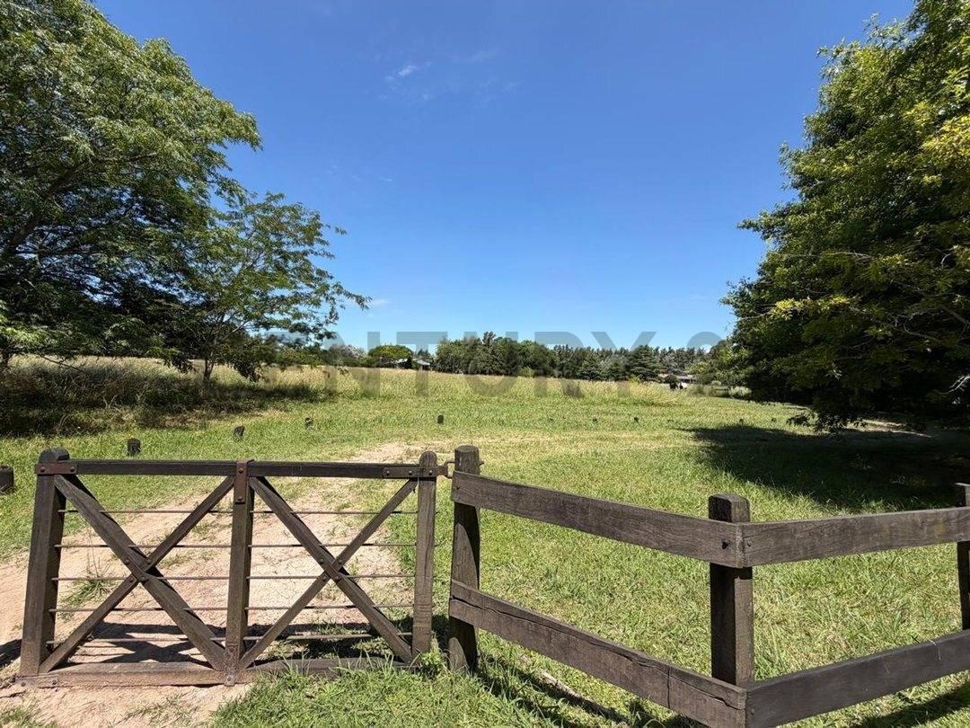 Foto de EXCELENTE CASA 4 AMB PUERTO PANAL PILETA, ZARATE, imagen 5