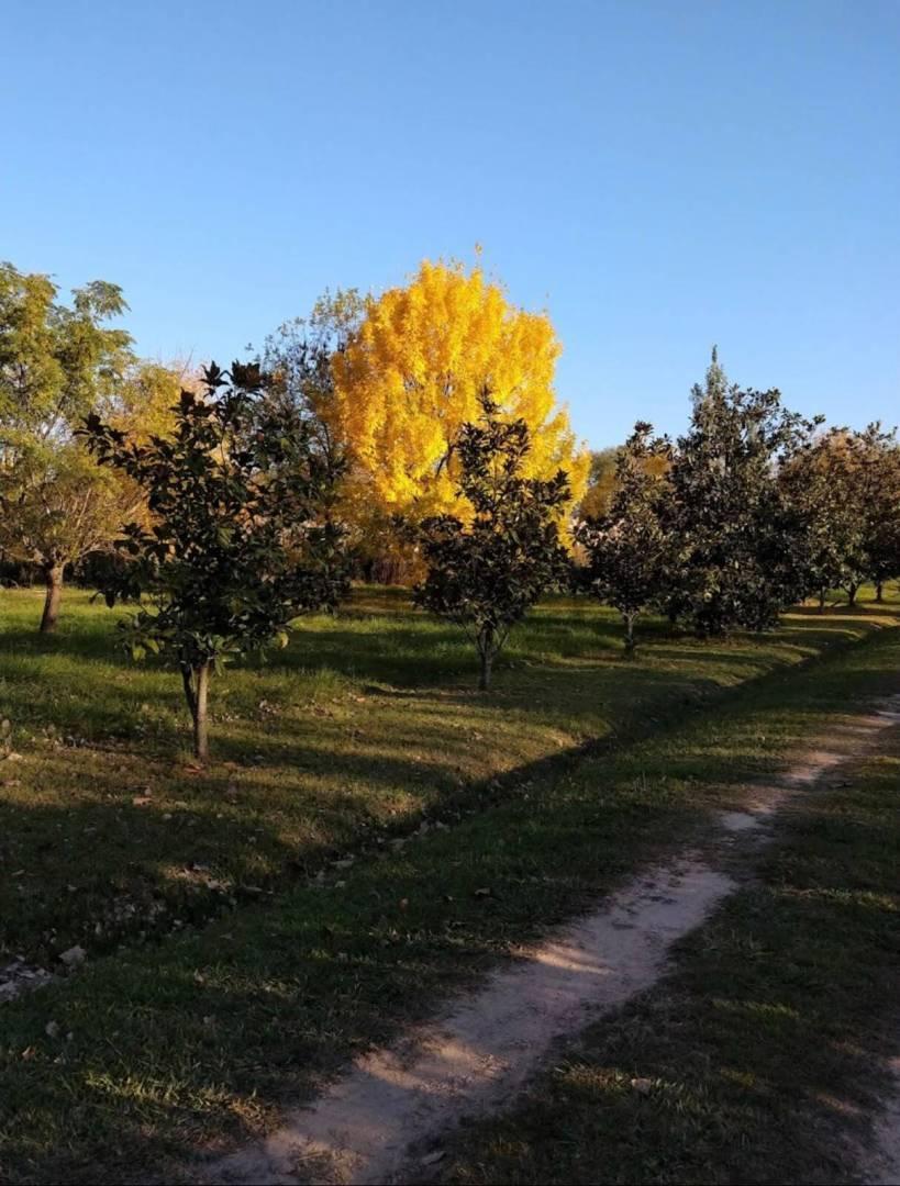 Foto de LOTE A LA VENTA EN GOLFERS COUNTRY CLUB, imagen 2