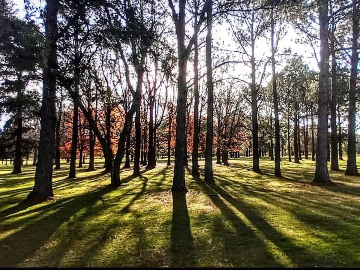 Foto de LOTE A LA VENTA EN GOLFERS COUNTRY CLUB, imagen 4