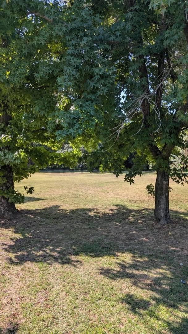 Foto de LOTE A LA VENTA EN GOLFERS COUNTRY CLUB, imagen 1