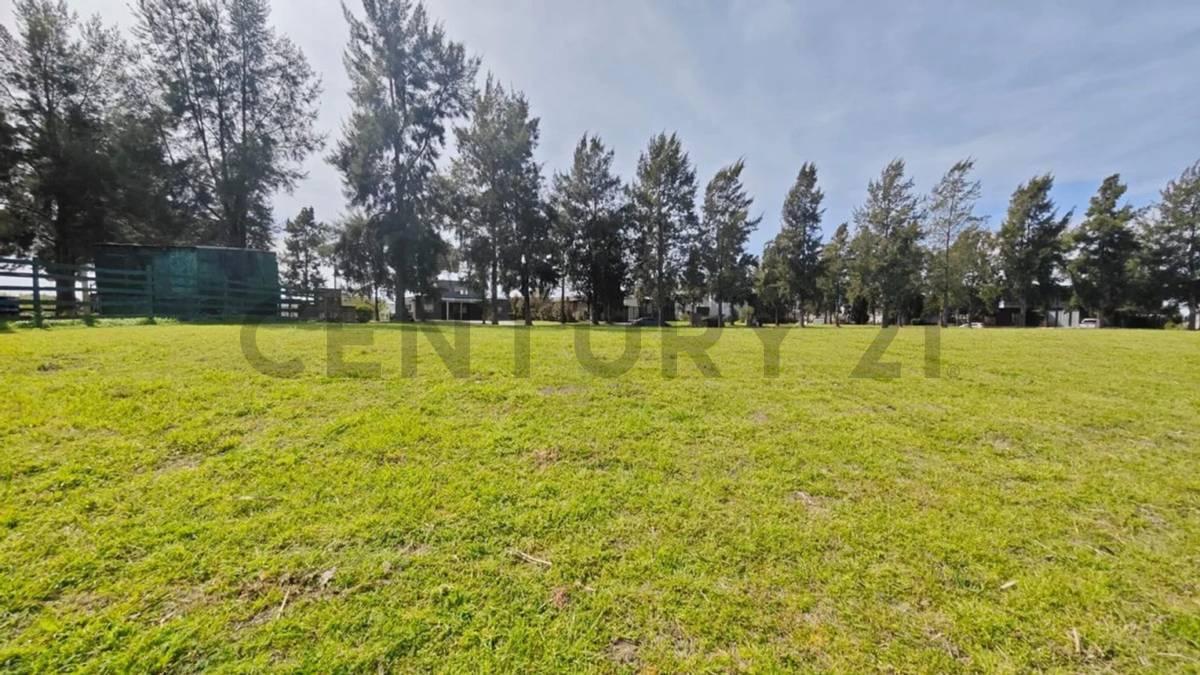 Foto de LOTE 1040M2 EN EL CAZAL, ESCOBAR. FINANCIACIÓN DIRECTA. EVALUA PERMUTA, imagen 4