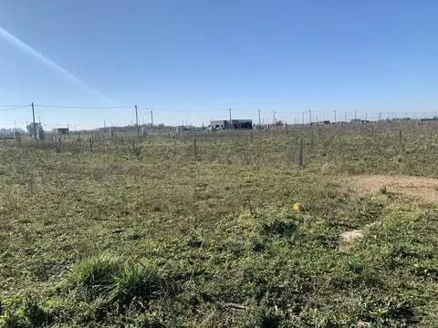 Foto de LOTE EN VENTA – BARRIO CERRADO EN DESARROLLO, LA RESERVA DEL OESTE |, imagen 4
