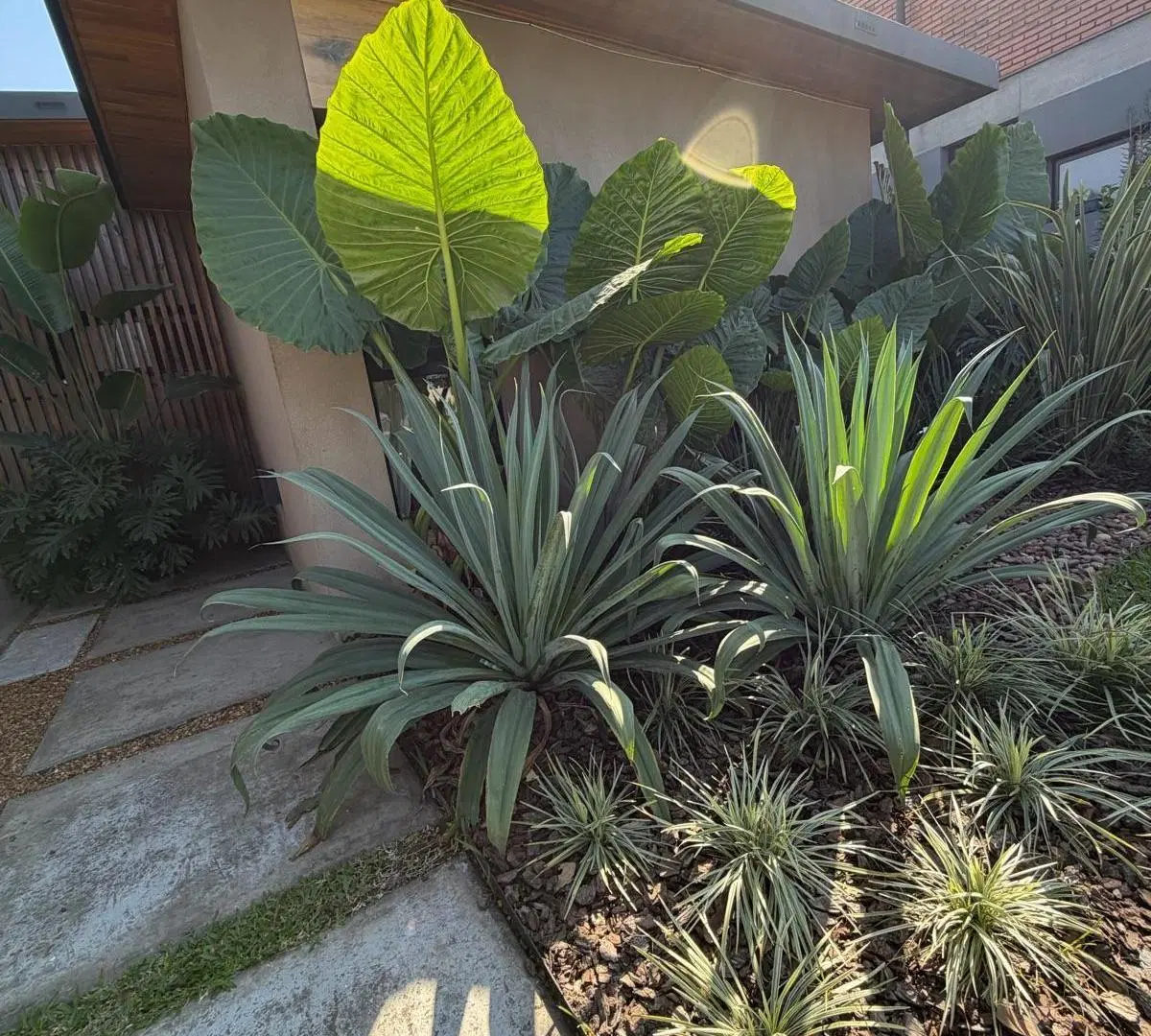 Casa a estrenar en planta baja con pileta | 3 dorm. | 124 m² | Alto Verde 2, Yerba Buena 3