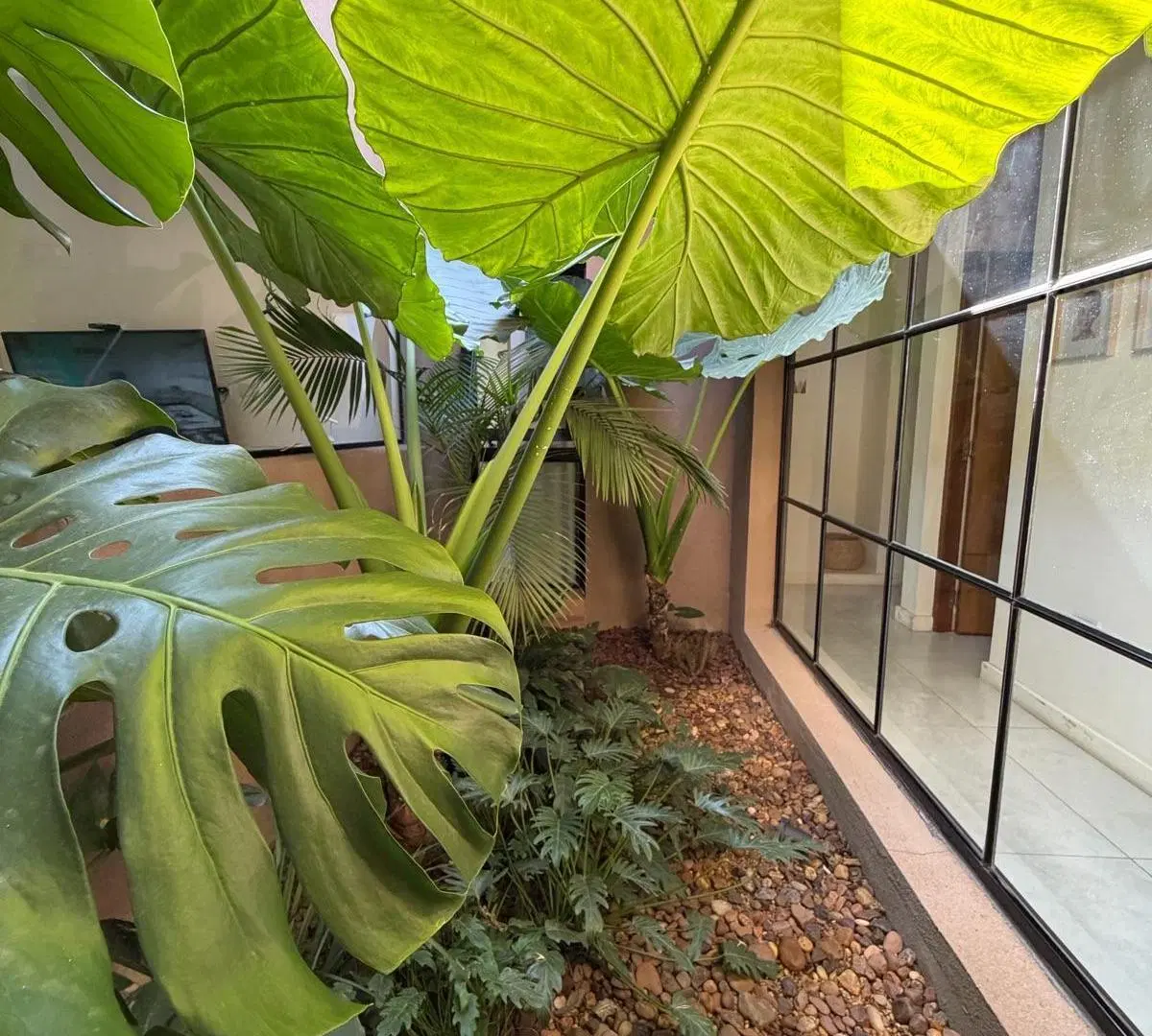 Casa a estrenar en planta baja con pileta | 3 dorm. | 124 m² | Alto Verde 2, Yerba Buena 1