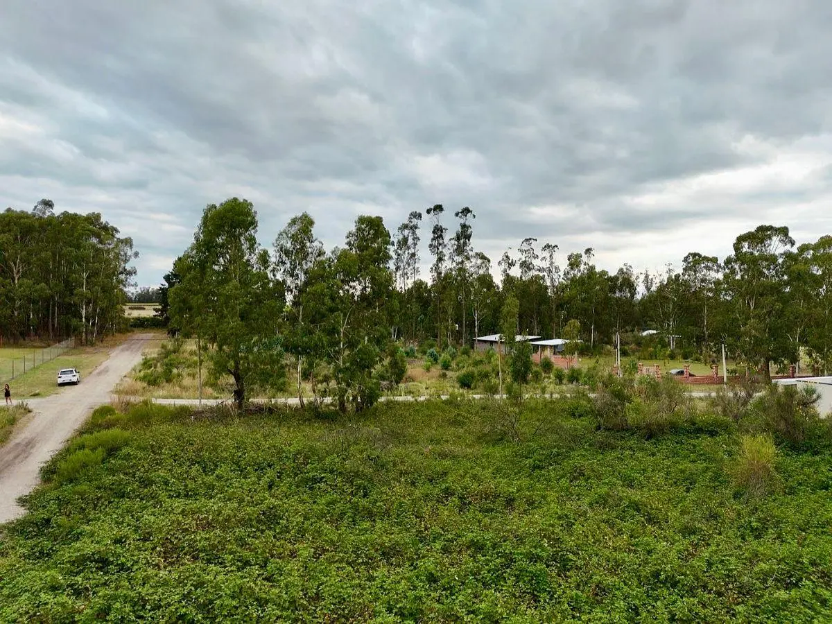 Lote en venta en entorno natural y zona de gran desarrollo 3