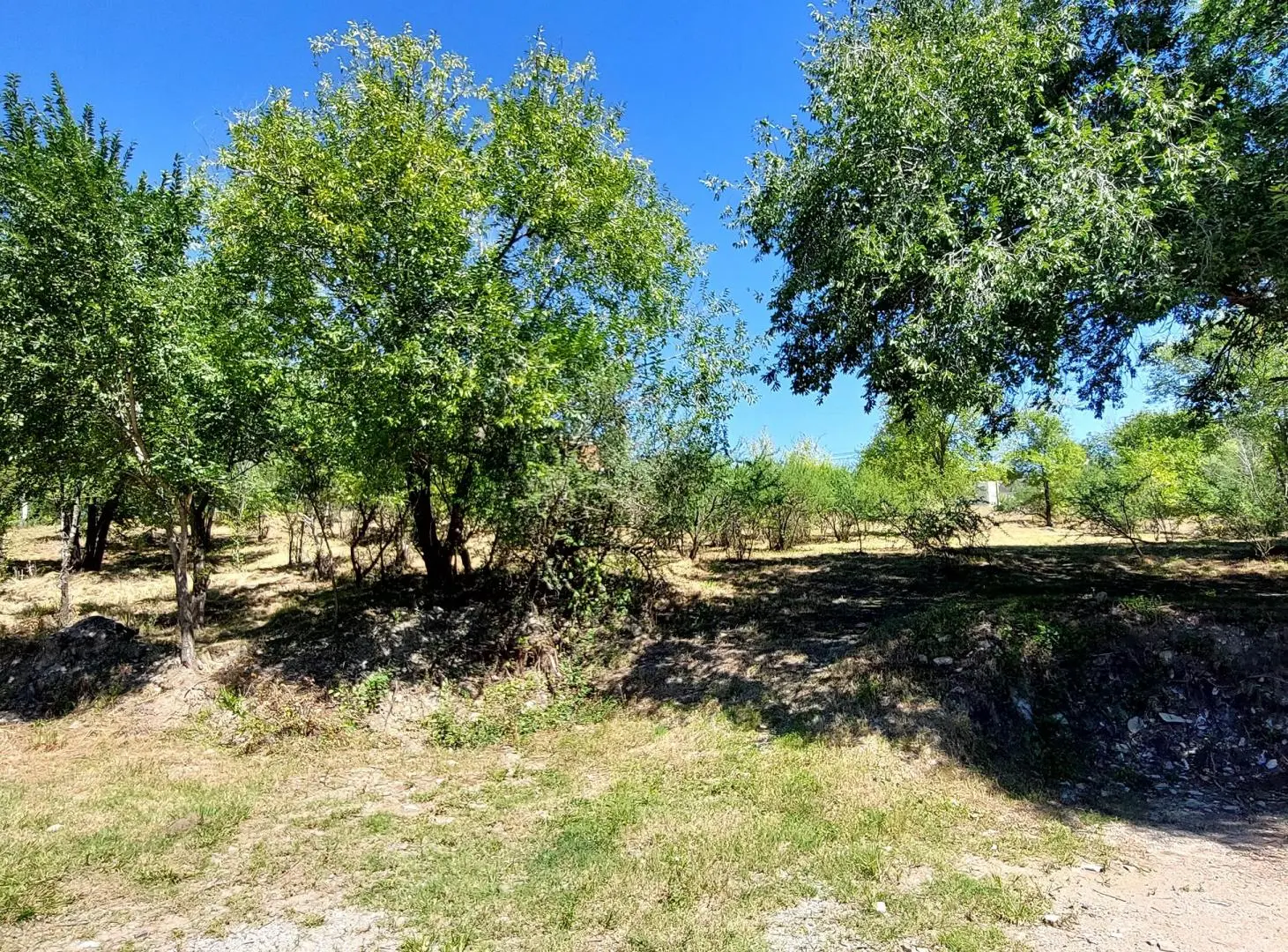 Lote frente al río San Antonio de Arredondo 5
