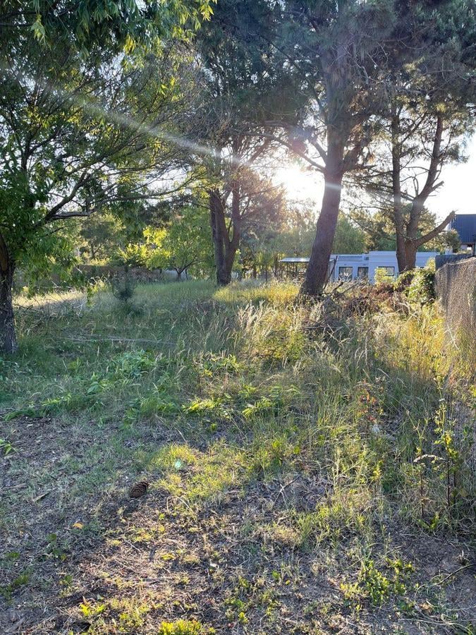 Foto de Lote en zona San Rafael Mar de Ajo, imagen 1