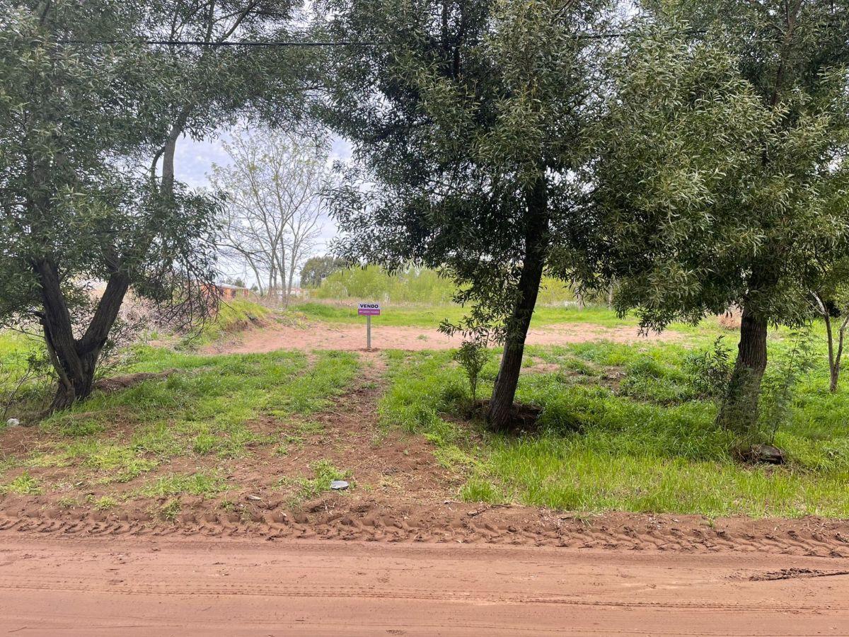 Foto de LOTE EN PARAJE PAVON, imagen 2