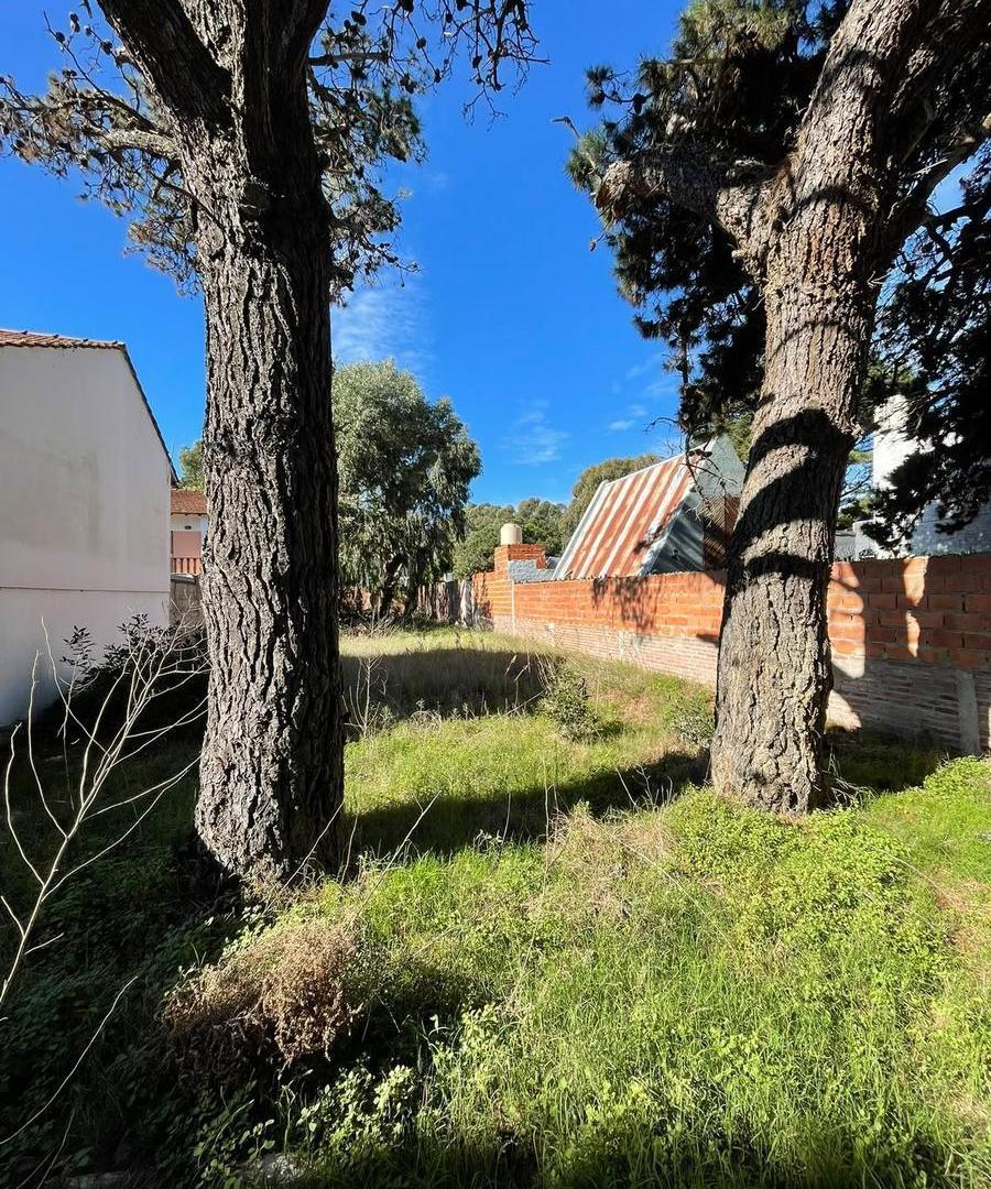 Foto de Terreno en San Bernardo Del Tuyu, imagen 4