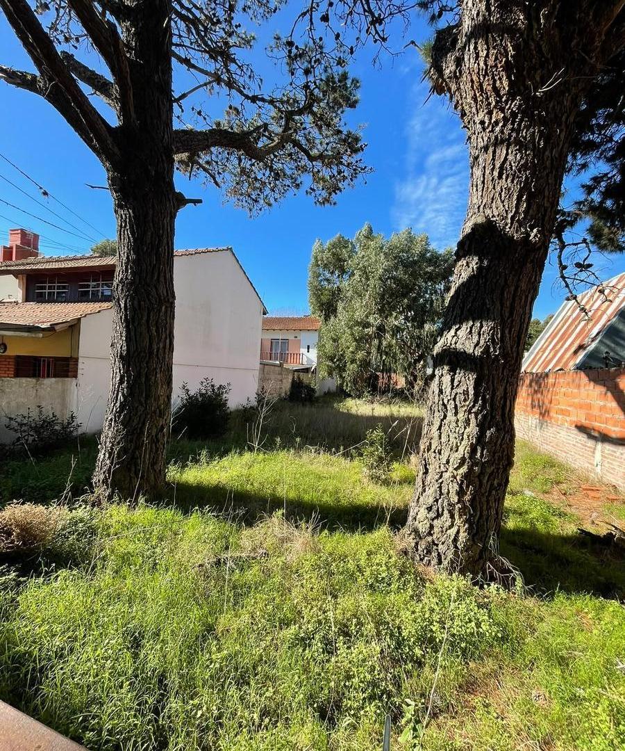 Foto de Terreno en San Bernardo Del Tuyu, imagen 1