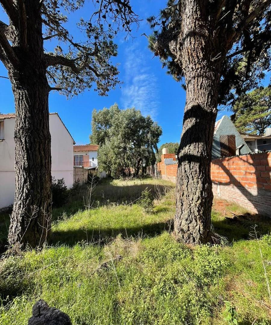 Foto de Terreno en San Bernardo Del Tuyu, imagen 3