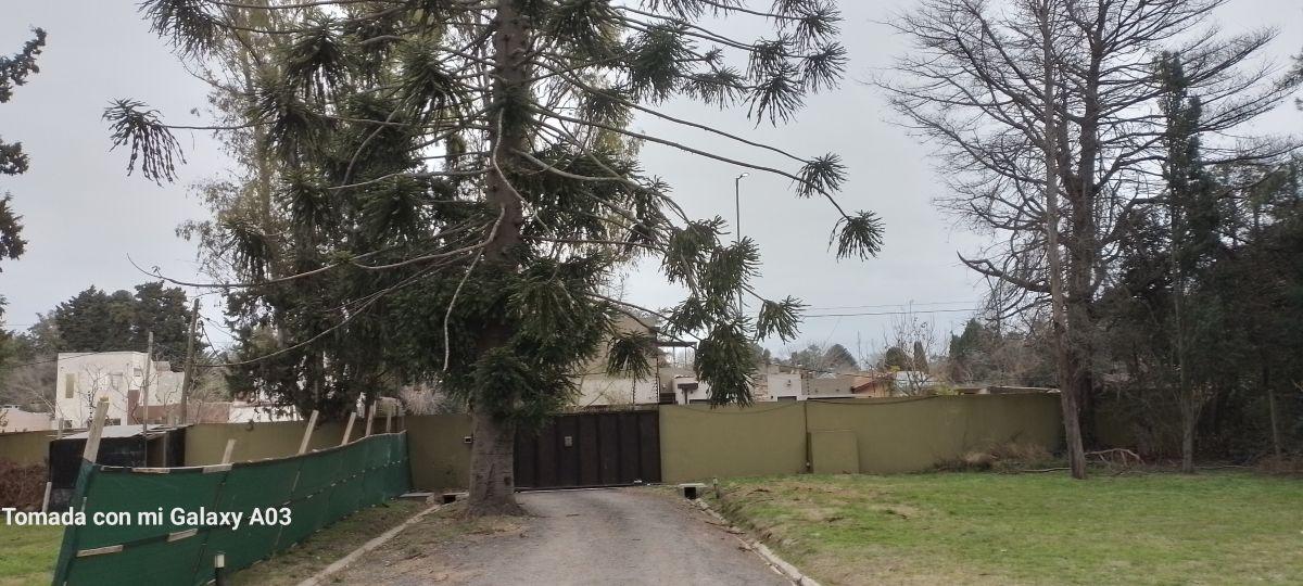 Foto de Terreno/Lote de 450 m² en venta en Ranelagh, imagen 2