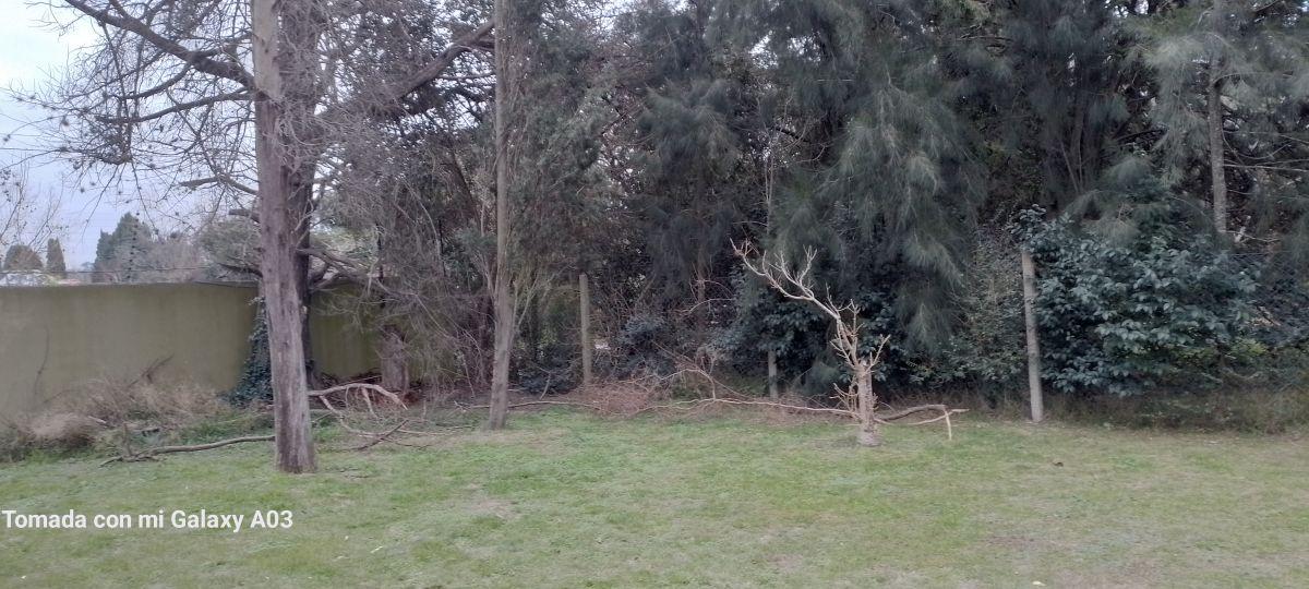 Foto de Terreno/Lote de 450 m² en venta en Ranelagh, imagen 4