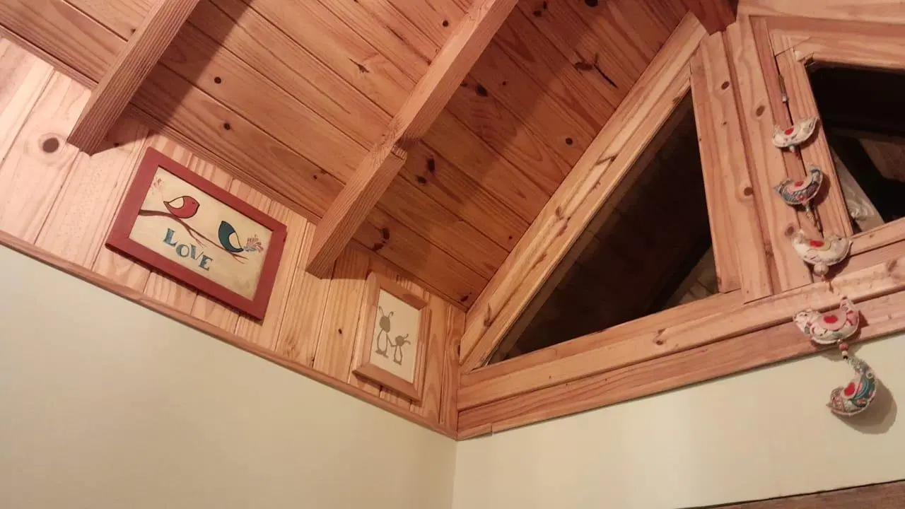 Casa en Junin De Los Andes 4