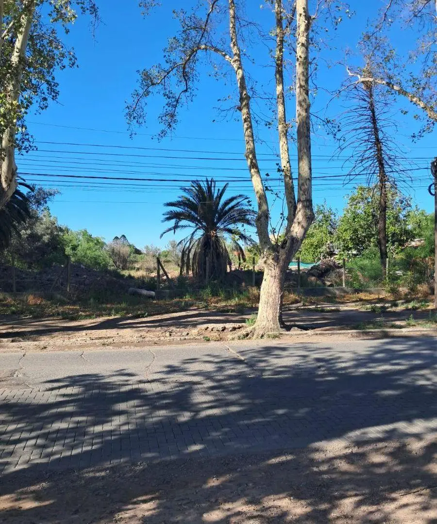 GRAN TERRENO EN VENTA EN ZONA DE GRAN DESARROLLO CON TODOS LOS SERVICIOS EN PUERTA. 3