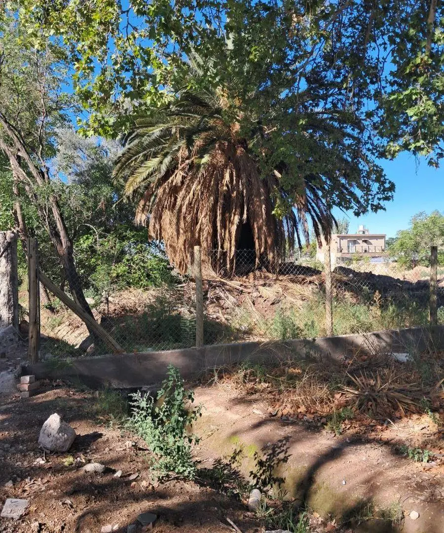 GRAN TERRENO EN VENTA EN ZONA DE GRAN DESARROLLO CON TODOS LOS SERVICIOS EN PUERTA. 4