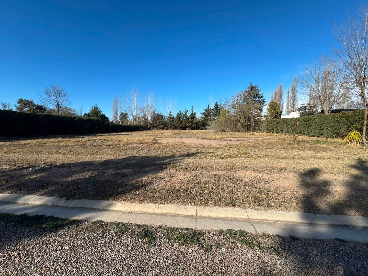 Foto de Terreno / Lote en venta de 1200m2 ubicado en Las Compuertas, imagen 4