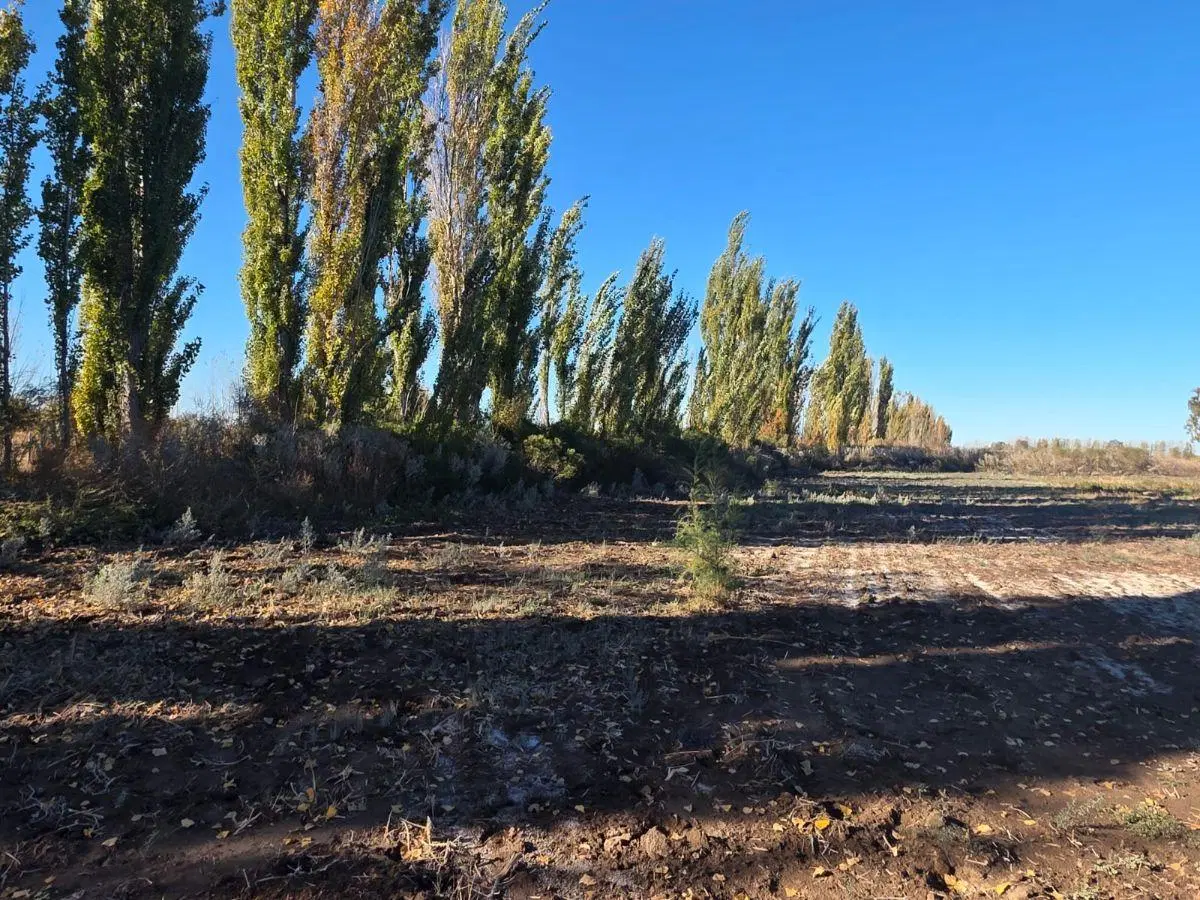 Capital Prop Vende Finca Inculta 8.2 hectareas en El Vergel (Lavalle) 1