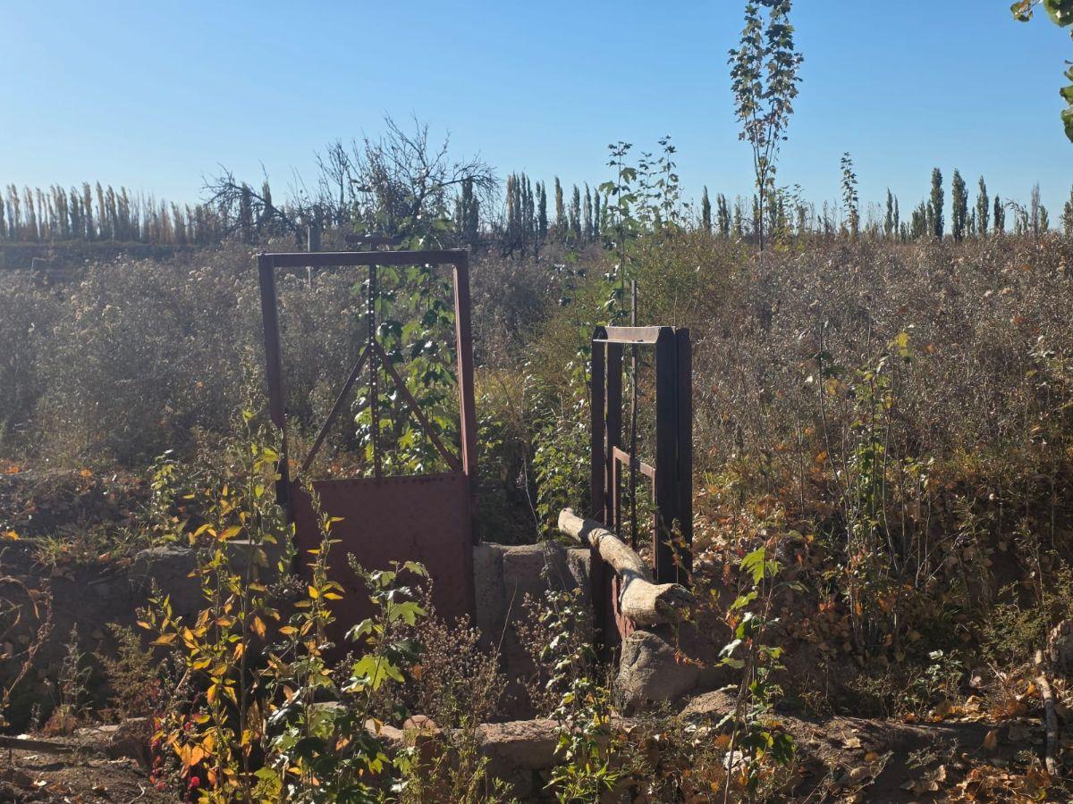 Foto de Capital Prop Vende Finca Inculta 8.2 hectareas en El Vergel (Lavalle), imagen 5