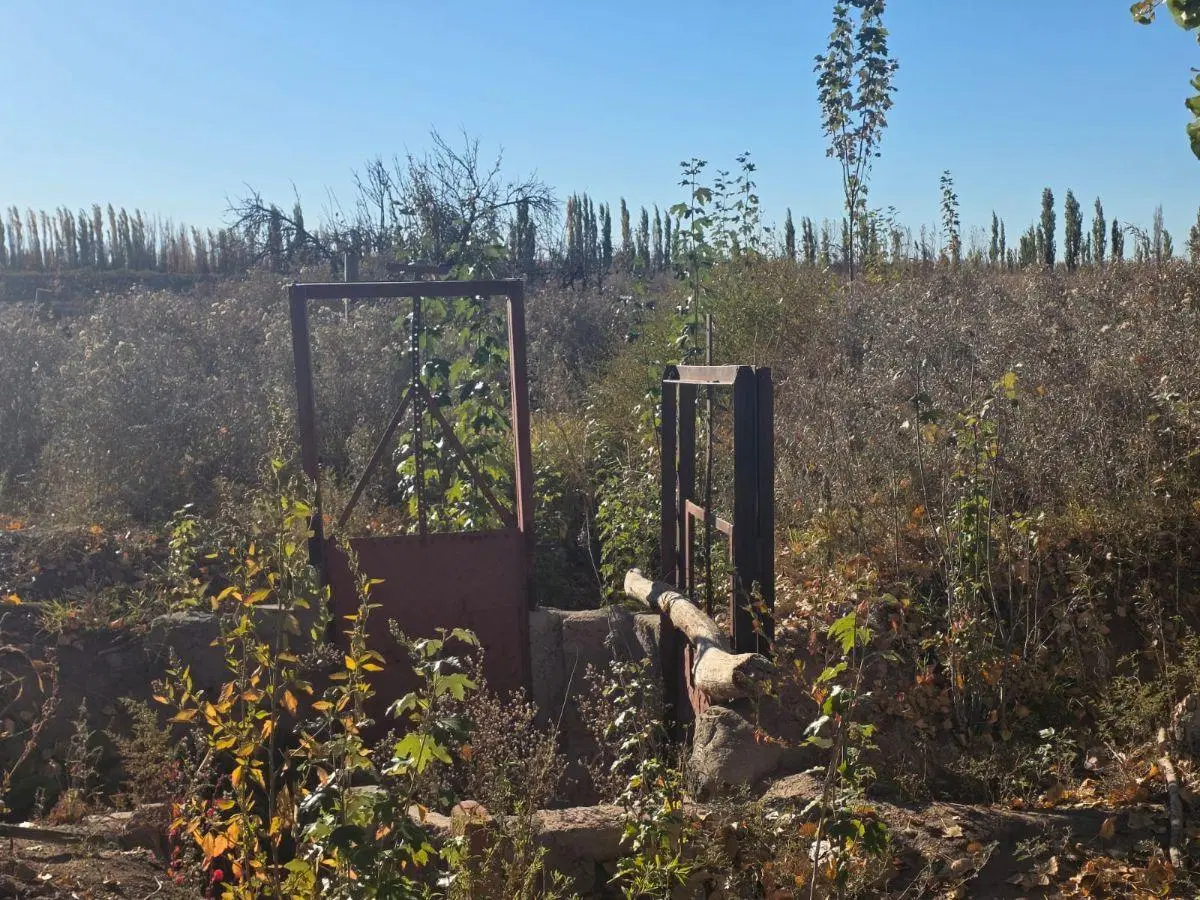 Capital Prop Vende Finca Inculta 8.2 hectareas en El Vergel (Lavalle) 5