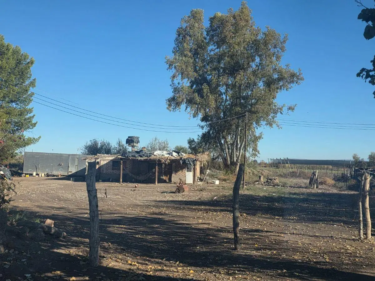 Capital Prop Vende Finca Inculta 8.2 hectareas en El Vergel (Lavalle) 2