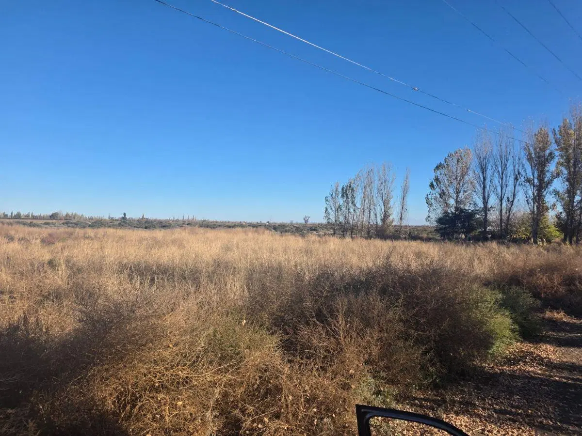 Capital Prop Vende Finca Inculta 8.2 hectareas en El Vergel (Lavalle) 4