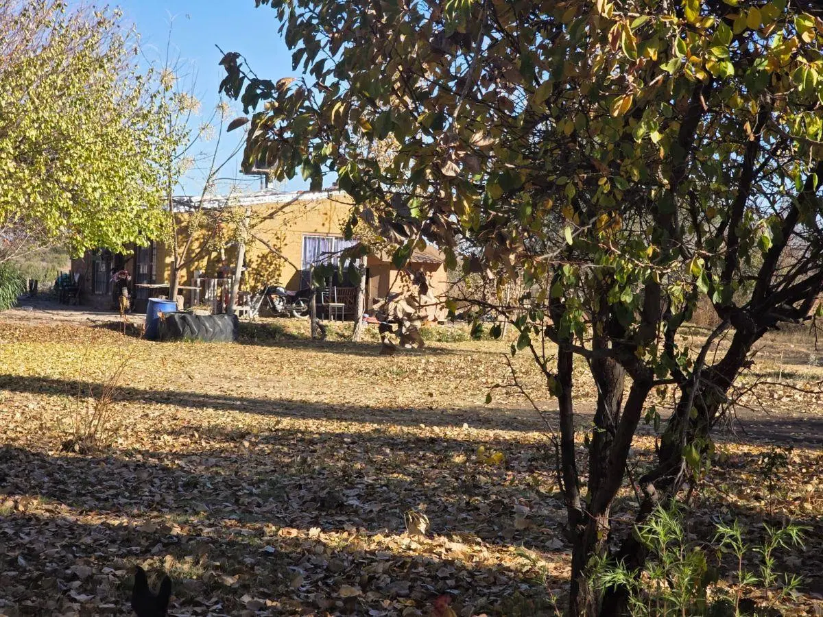 Capital Prop Vende Finca 21 Hectáreas El Vergel, Lavalle 2