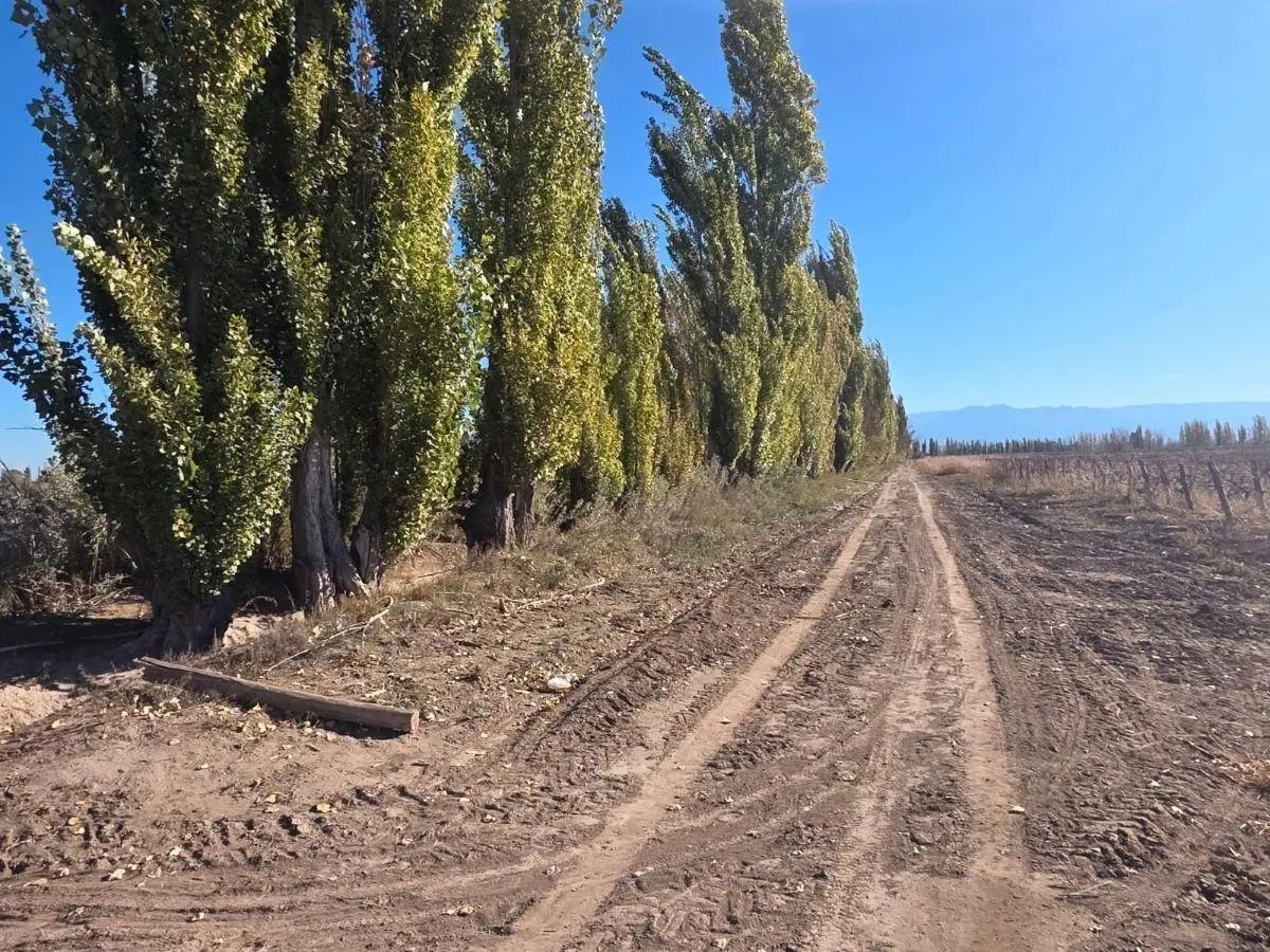 Capital Prop Vende Finca 21 Hectáreas El Vergel, Lavalle 4