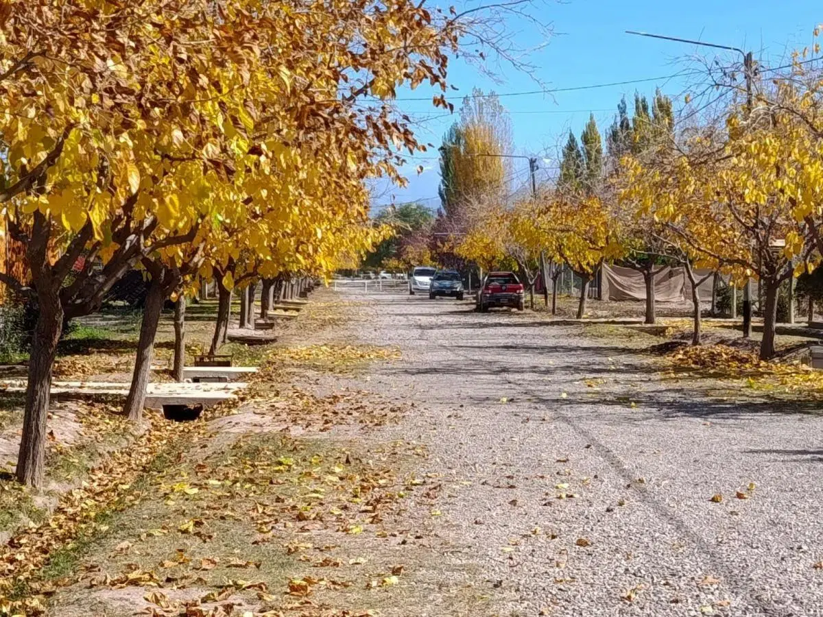 Lote en VENTA, Vistalba 5