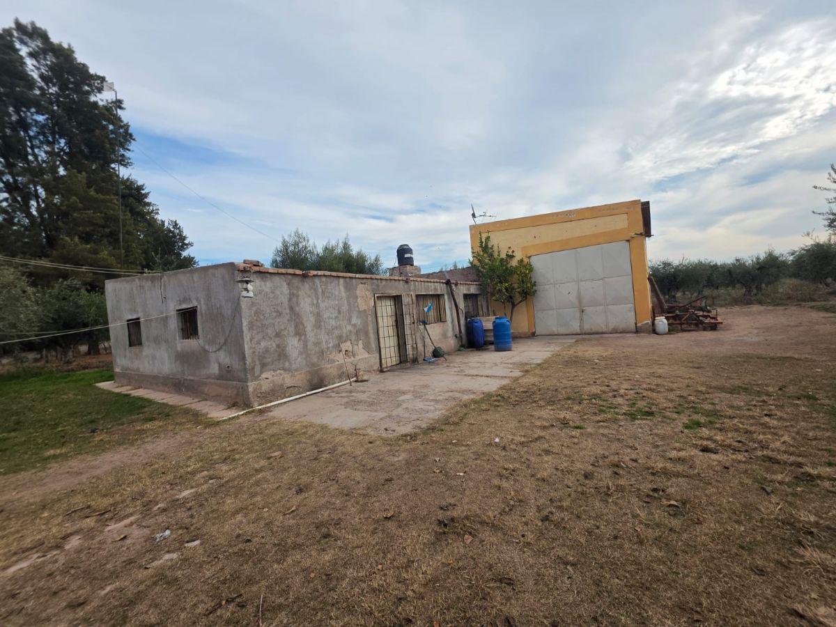 Foto de Capital Prop Vende Gran Oportunidad 4,9 Hectáreas en Chachingo Maipu, imagen 2