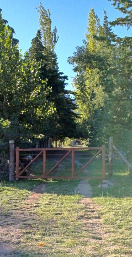 Foto de CAPITAL PROP VENDE! (MS) Lote de montaña, Colonia Suiza. Ruta, imagen 5