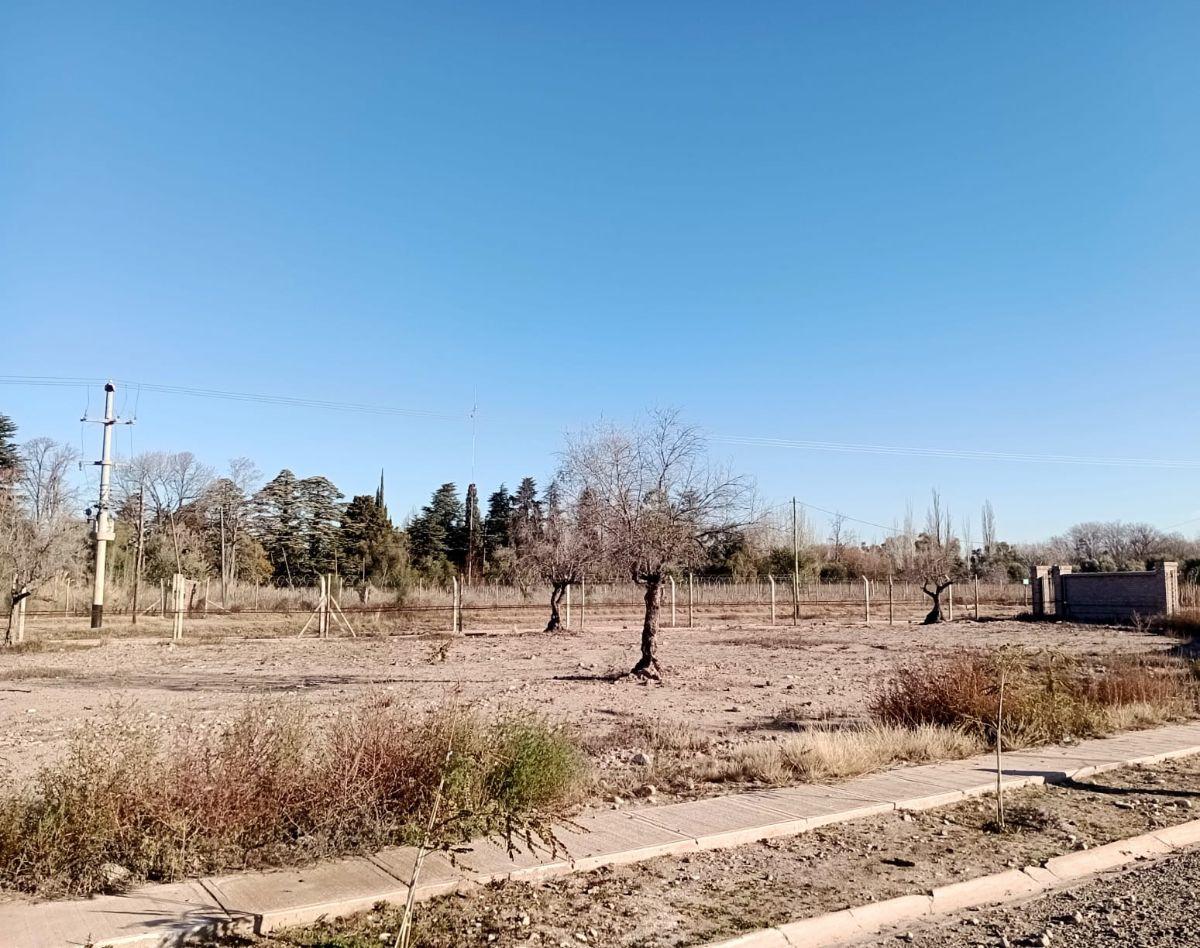 Foto de CAPITAL PROP VENDE! (MAU) Terreno/Lote Barrio Privado Vistalba Quattro, imagen 3